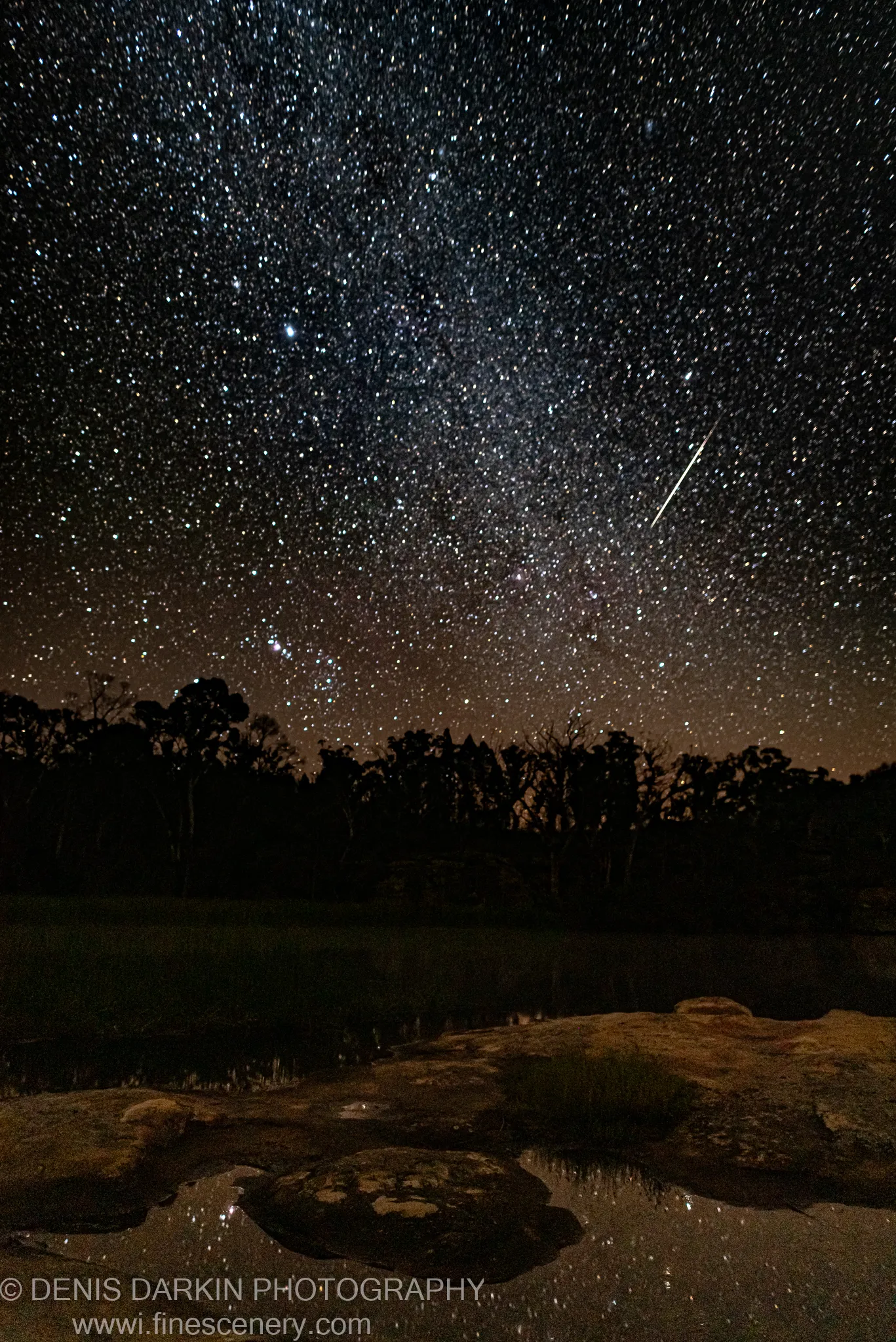 A meteor streaks downward through a dense starfield above the silhouetted treeline at Dunns Swamp, faint reflections visible in dark water and wet rocks below.