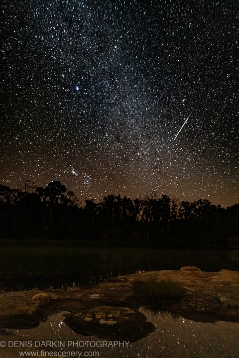 A meteor streaks downward through a dense starfield above the silhouetted treeline at Dunns Swamp, faint reflections visible in dark water and wet rocks below.