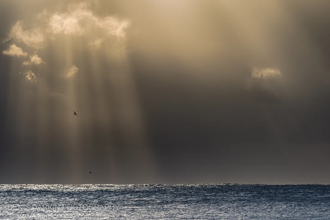 Sunbeams cutting through a heavy grey cloudbank over Byron Bay, two bird silhouettes against the sky with light reflections on the ocean surface below.