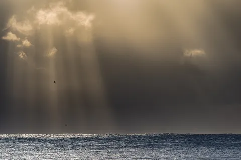 Sunbeams cutting through a heavy grey cloudbank over Byron Bay, two bird silhouettes against the sky with light reflections on the ocean surface below.
