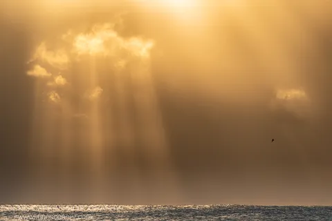 A fan of crepuscular rays spreads through thick cloud above the Byron Bay ocean, a single bird silhouetted in the haze at the horizon.