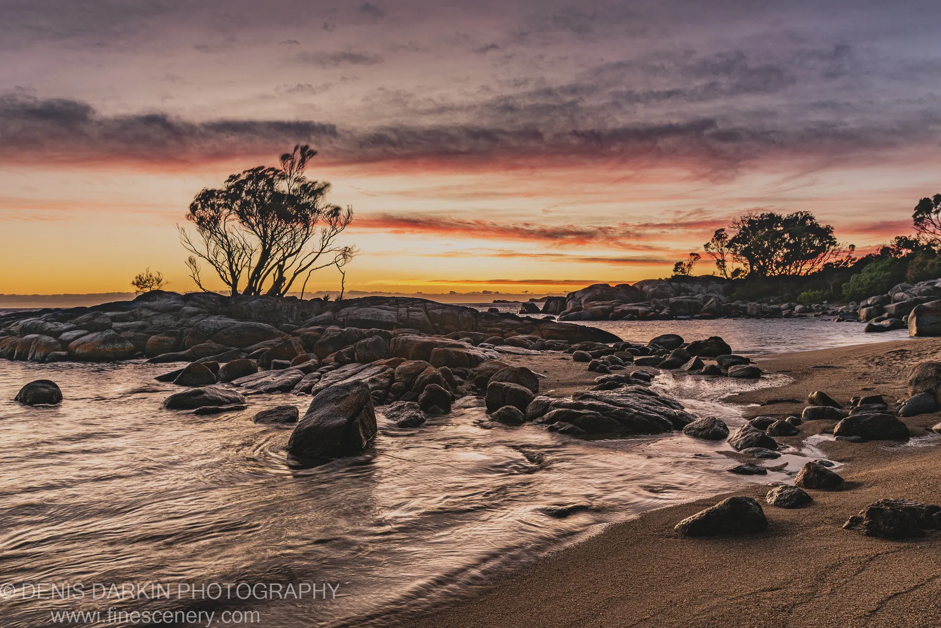 Silhouetted trees atop coastal granite boulders with long-exposure surf and a layered orange and blue sky, east coast Tasmania.
