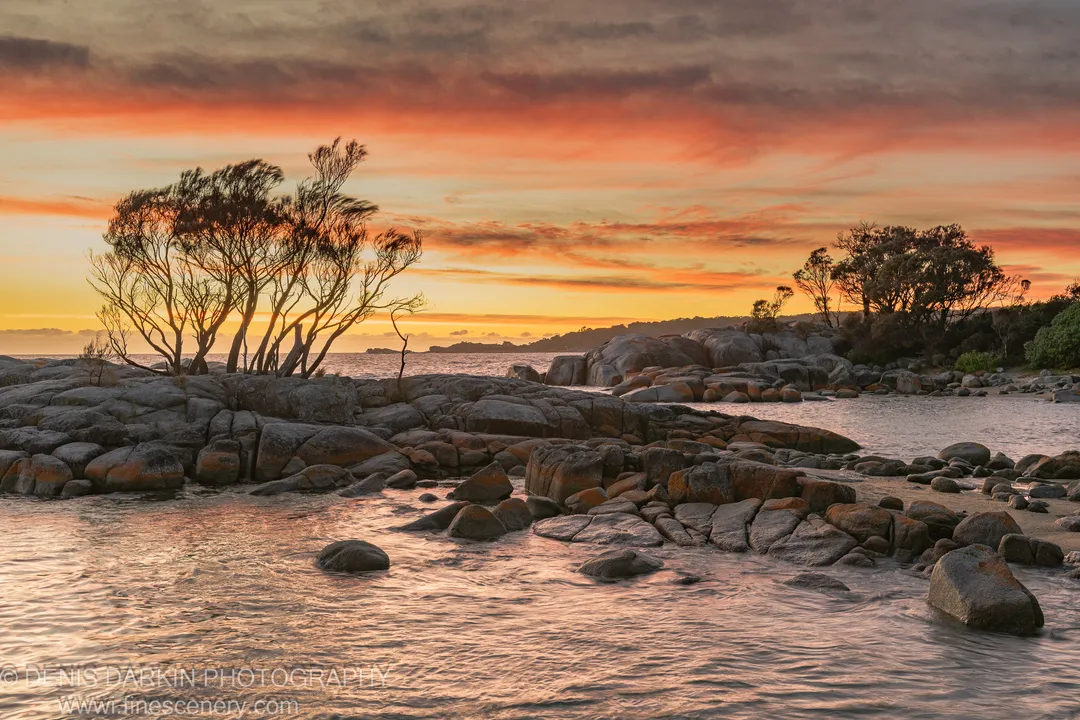 Lichen-covered granite and still tidal water at Bay of Fires, silhouetted trees along the distant headland against a warm morning sky.
