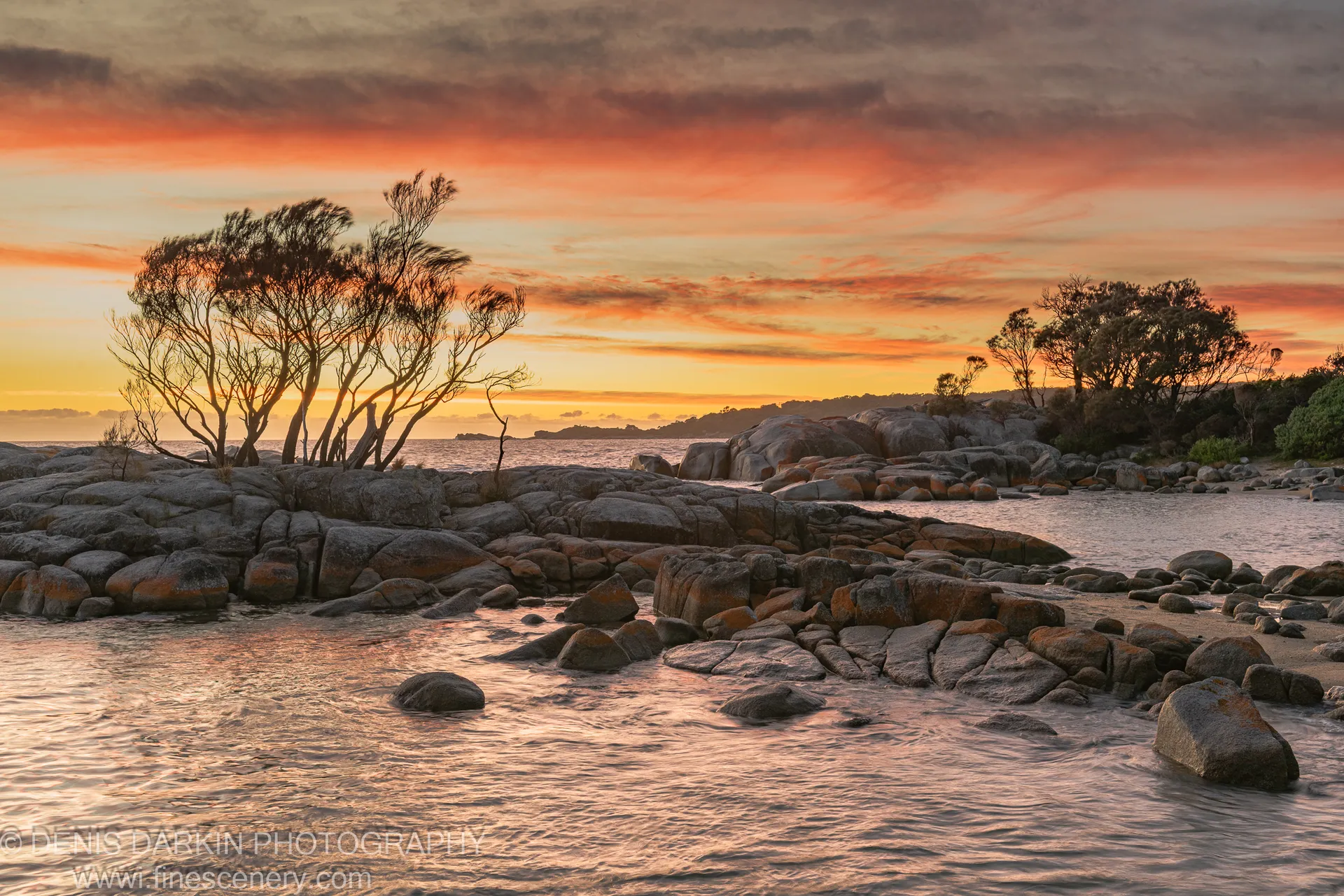 Lichen-covered granite and still tidal water at Bay of Fires, silhouetted trees along the distant headland against a warm morning sky.