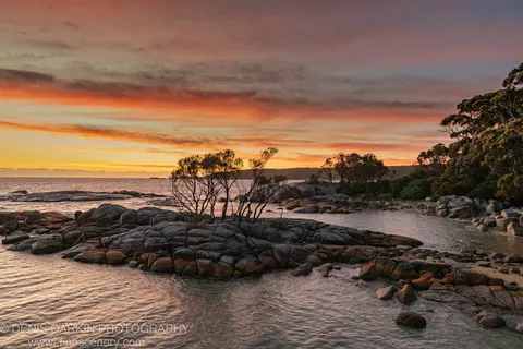 Granite peninsula extending into calm water at Bay of Fires, silhouetted trees against a streaked morning sky.