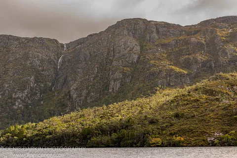 White ribbons of water fall down a sheer grey cliff above a dense forested shoreline with dark rippling water, Tasmania, April 2022.