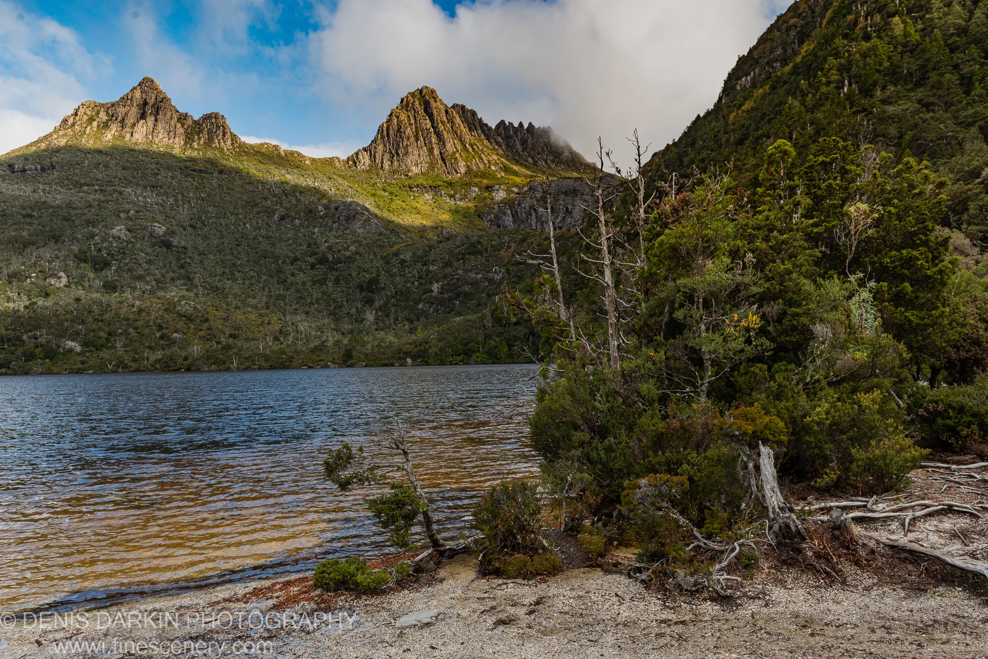 Tangled dead wood on a pebbly shoreline of a Tasmanian alpine lake, with rugged mountain peaks and drifting clouds visible in the distance.