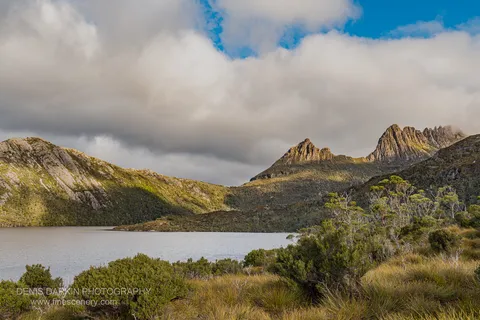 Warm sunlight catches the rugged dolerite peaks of Cradle Mountain as vast cumulus clouds tower above, with alpine heath and tussock grass in the foreground.