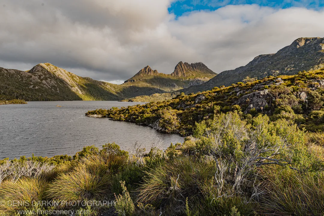 Dry tussock grass in warm afternoon light on the rocky shoreline at Cradle Mountain, with shadowed slopes and distant peaks beneath heavy clouds.