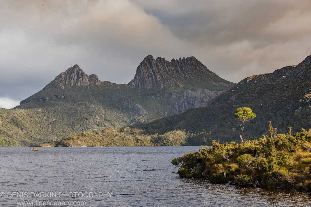 A solitary tree on a rocky outcrop at the edge of a dark alpine lake, massive craggy peaks rising steeply behind at dusk, Tasmania.