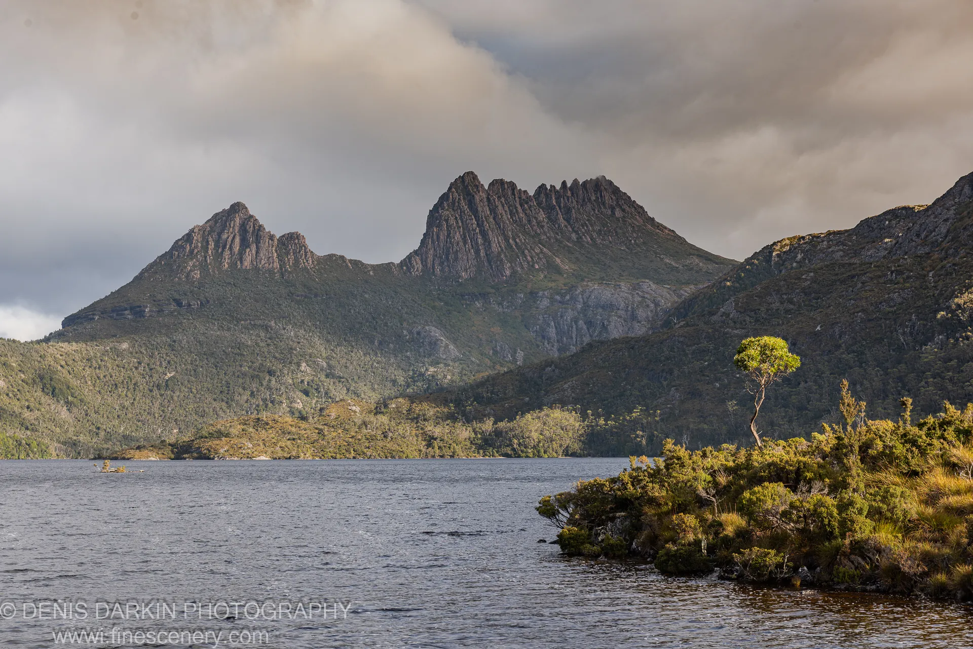 A solitary tree on a rocky outcrop at the edge of a dark alpine lake, massive craggy peaks rising steeply behind at dusk, Tasmania.