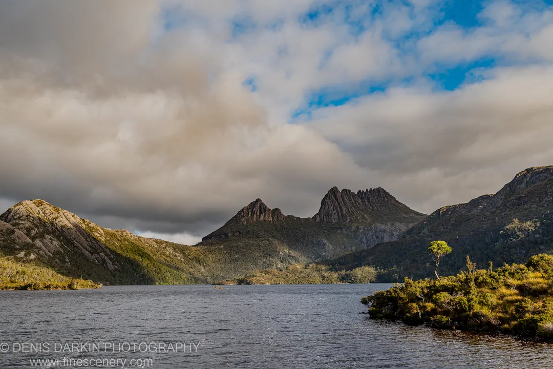 Dark alpine lake at Cradle Mountain with dolerite peaks rising behind and a solitary tree on the grassy bank, heavy cumulus above at dusk.