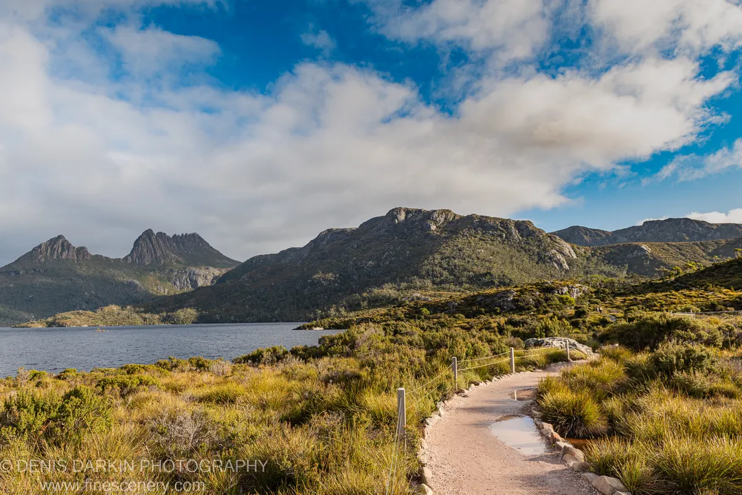 A gravel path winds through golden tussock grass at Cradle Mountain toward the lakeshore and rocky peaks under a wide blue sky.