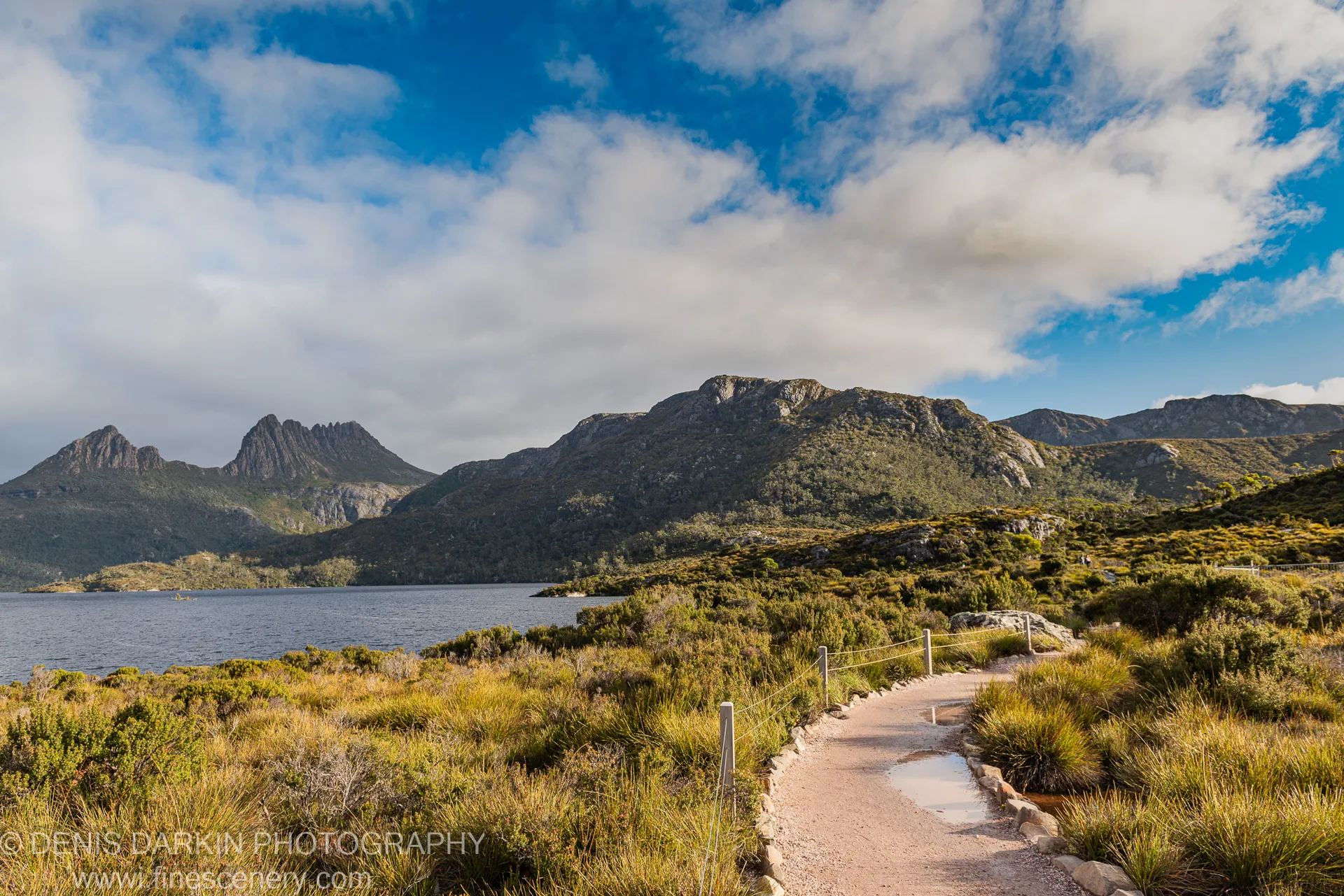 A gravel path winds through golden tussock grass at Cradle Mountain toward the lakeshore and rocky peaks under a wide blue sky.