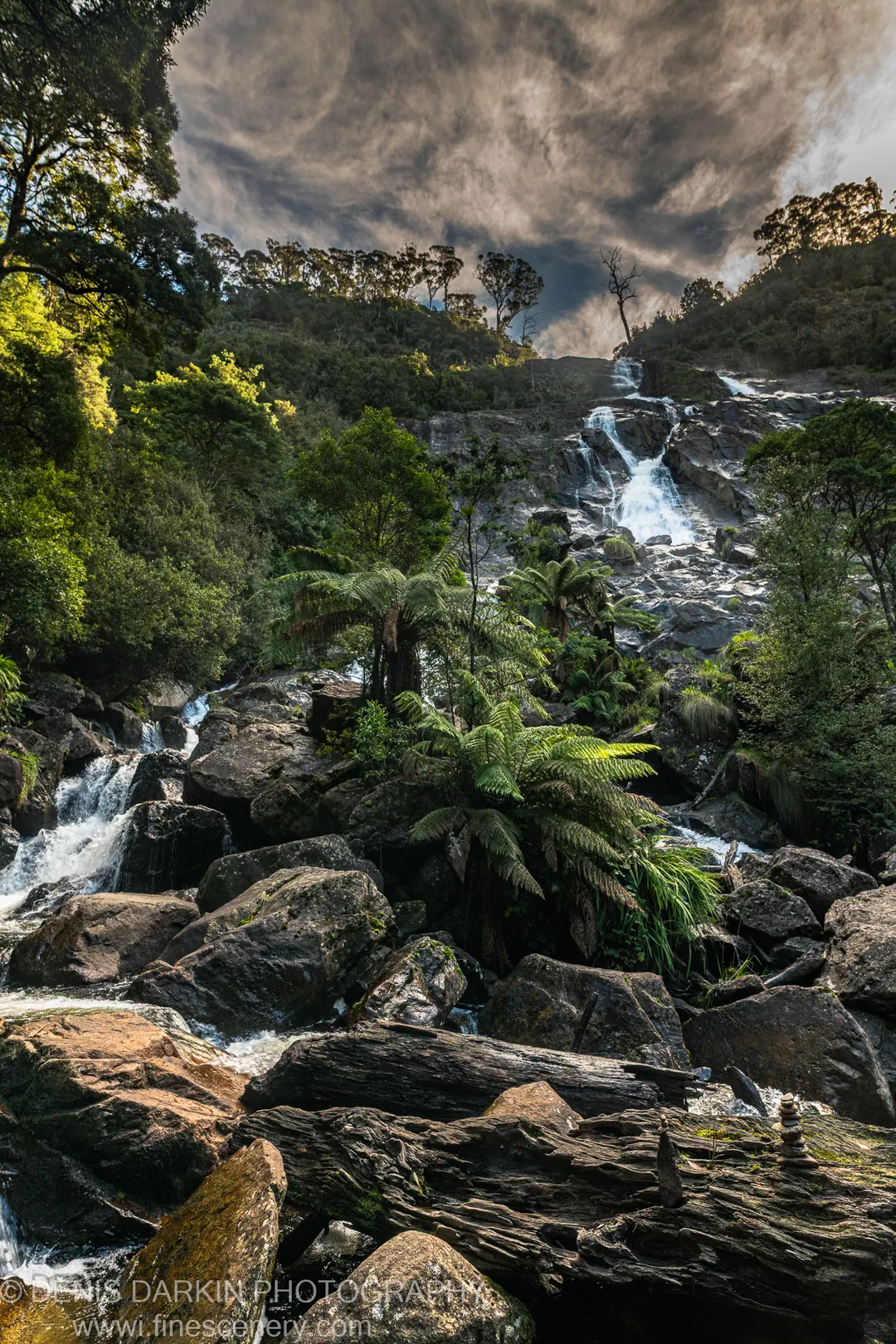 Mossy boulders and tall tree ferns at a Pyengana waterfall, sunlight breaking through the cloud above mist-sprayed falls, Tasmania.