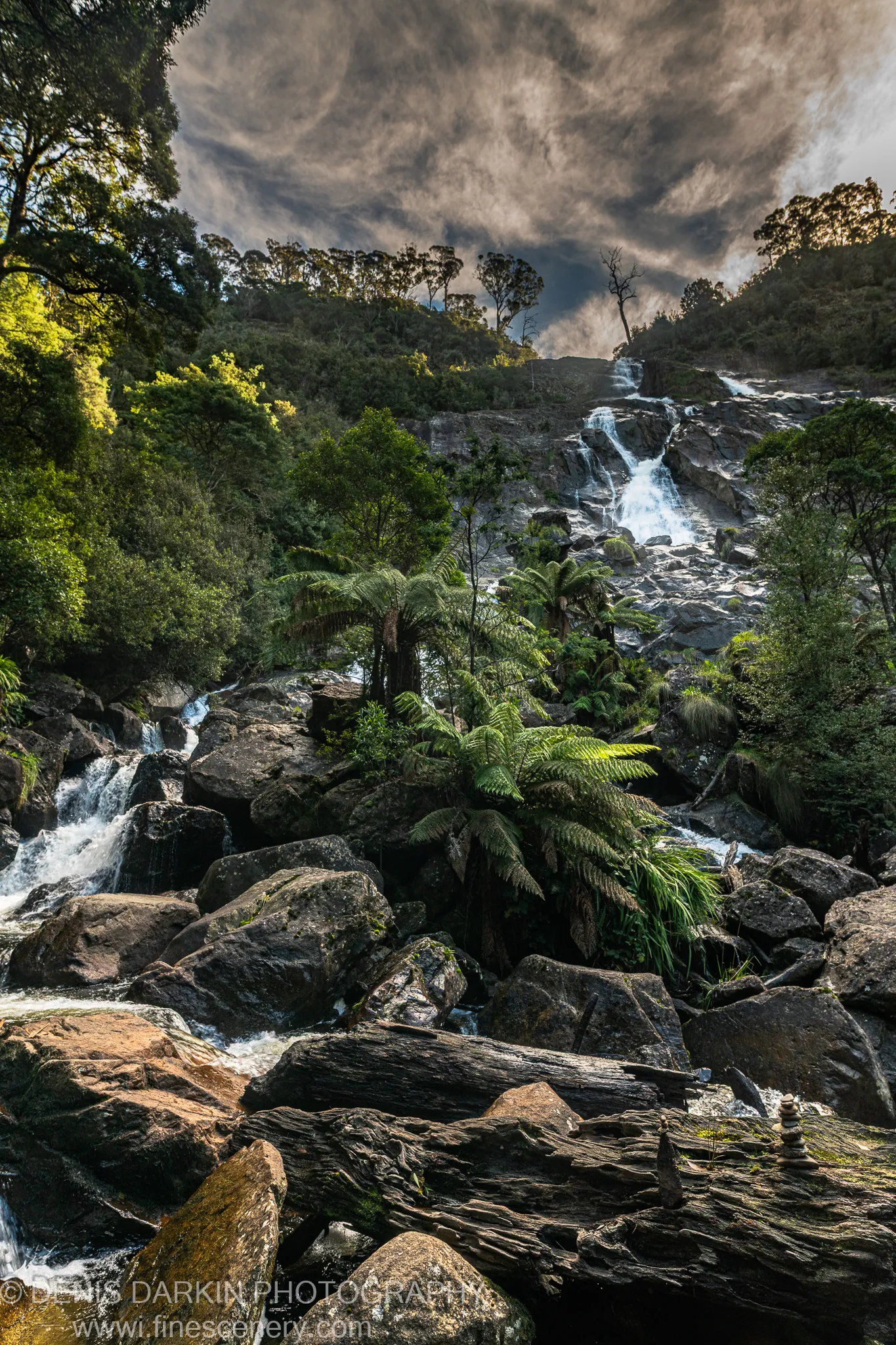 Mossy boulders and tall tree ferns at a Pyengana waterfall, sunlight breaking through the cloud above mist-sprayed falls, Tasmania.