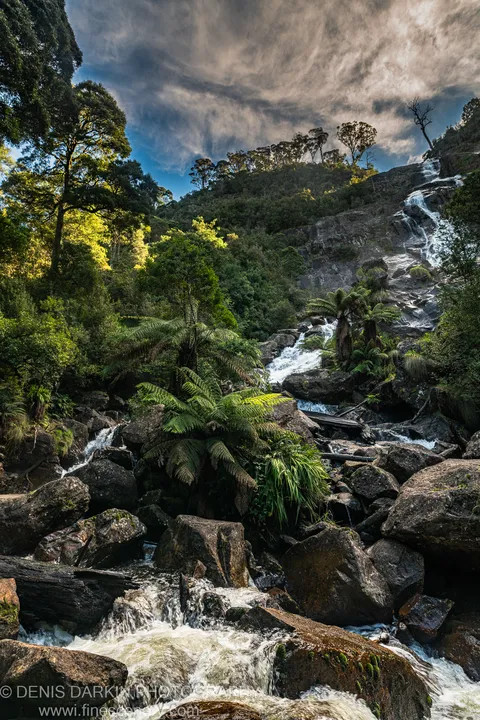 A waterfall drops down a steep grey cliff into a boulder-strewn stream at Pyengana, Tasmania, sunlit tree ferns bright on the left bank.