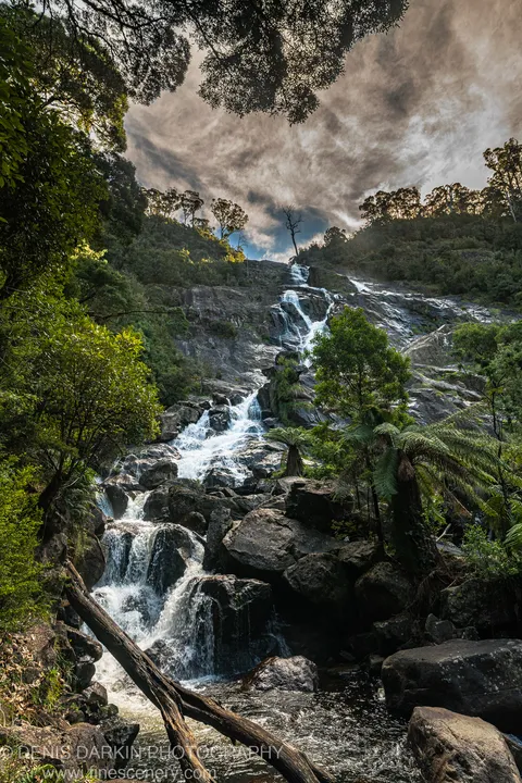 A multi-tiered waterfall drops over dark wet rock into a shadowed pool, lush ferns and canopy on both sides, Pyengana, Tasmania.