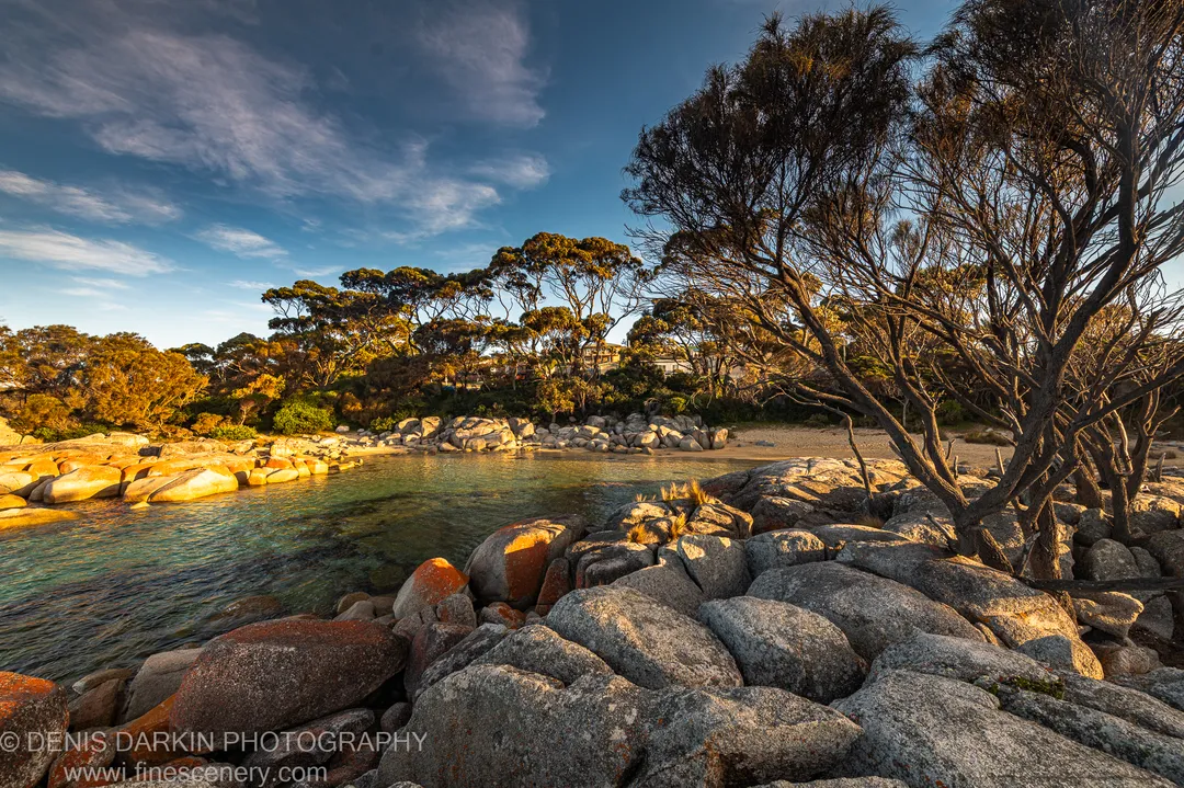 Rounded granite boulders in warm light at a tidal inlet, Bay of Fires, eucalyptus branches above the water, a distant shore under blue sky, Tasmania.