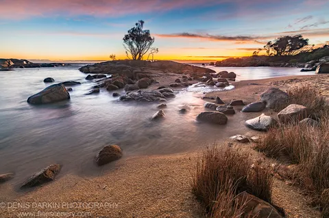 Long-exposure tide flows around granite boulders at Bay of Fires at dawn, a solitary tree silhouetted on the headland against an orange horizon.