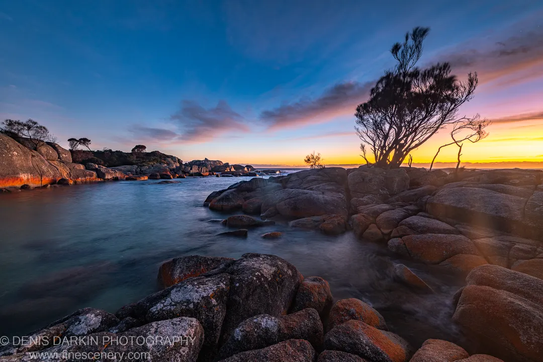 Lichen-covered granite boulders rim a calm cove at Bay of Fires, long-exposure water below a windswept tree silhouetted at the horizon.