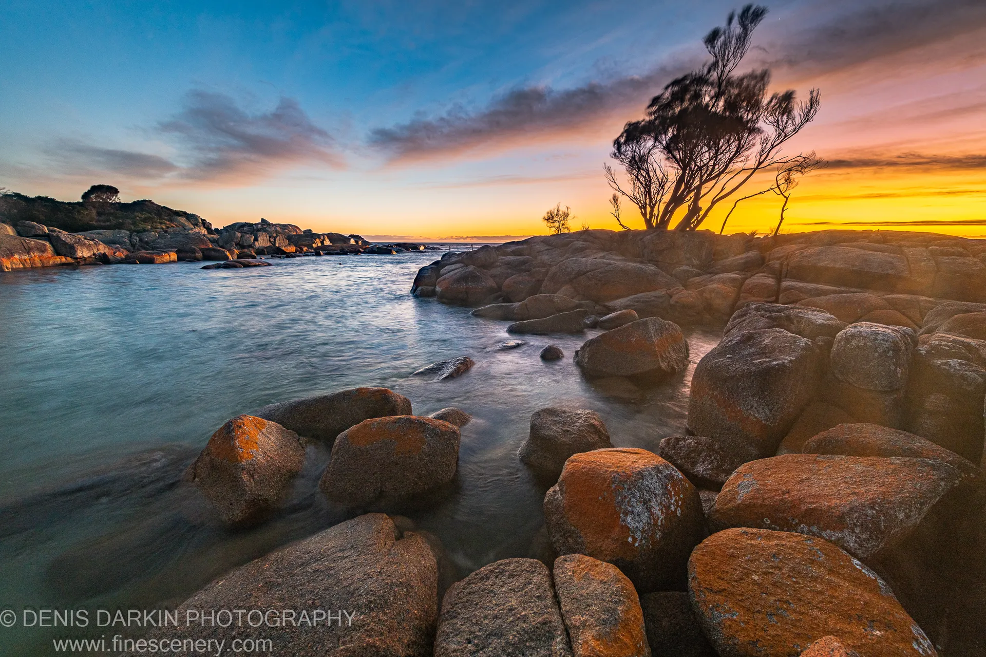 Low-angle view of orange-lichen-stained granite boulders at Bay of Fires, long-exposure water between the rocks and a windswept tree silhouetted against a warm morning sky.