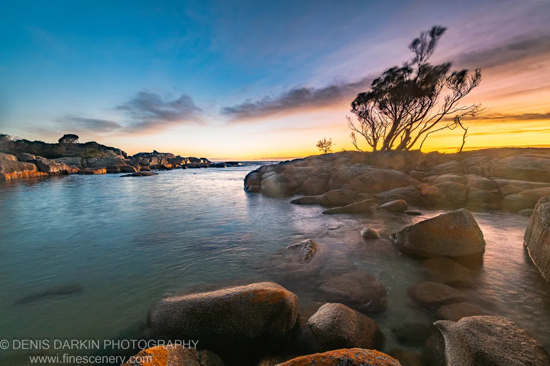 Smooth water around granite boulders in a tidal inlet at Bay of Fires, a windswept tree silhouetted against the morning sky at the right.