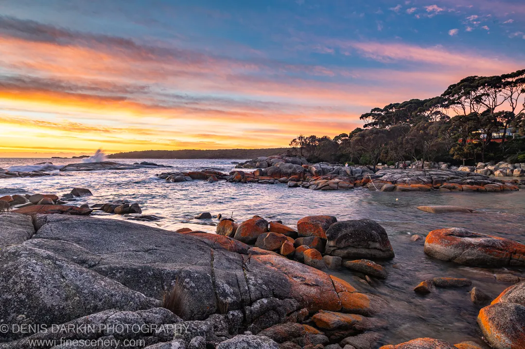 Orange lichen-covered granite boulders stand against breaking waves at the Bay of Fires coastline under a morning sky, East Coast Tasmania.