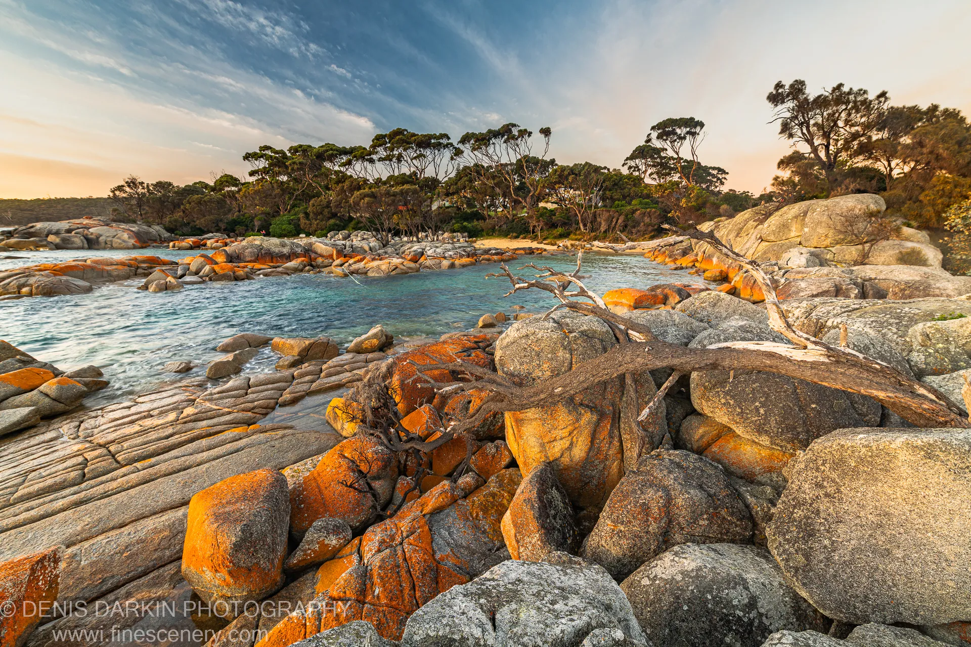 Layered lichen-covered rock formations and a driftwood branch edge a calm turquoise inlet lined with coastal trees, East Coast Tasmania.