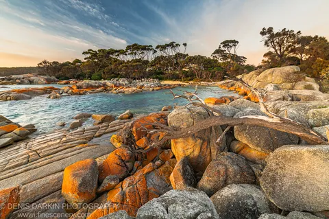 Layered lichen-covered rock formations and a driftwood branch edge a calm turquoise inlet lined with coastal trees, East Coast Tasmania.