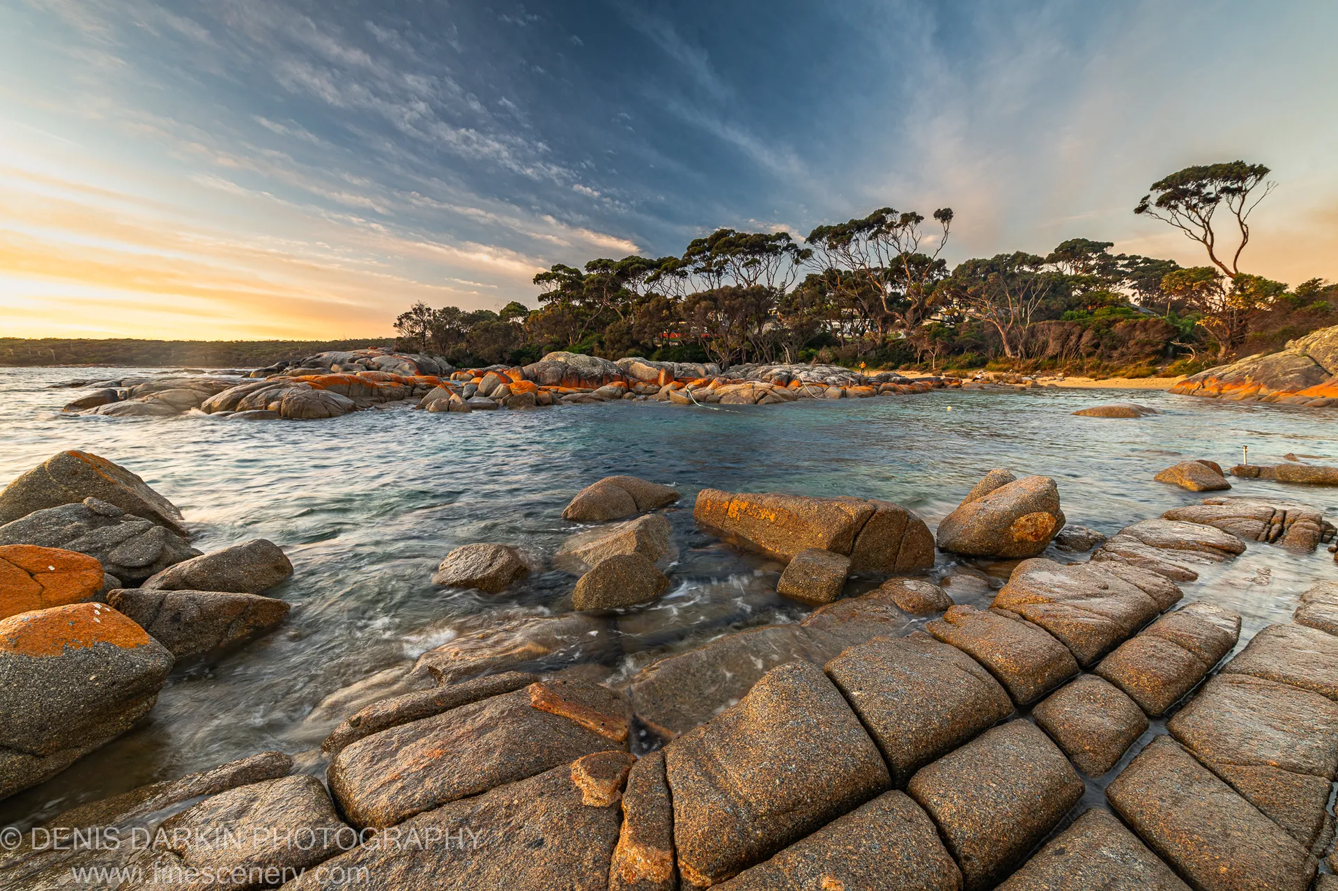Smooth granite boulders with orange lichen line the shore at Bay of Fires where calm water meets a tree-lined ridge in morning light.