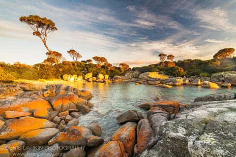 Lichen-covered boulders and golden autumn foliage border a turquoise coastal inlet at Bay of Fires, East Coast Tasmania, under wispy cloud.