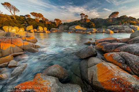 Warm morning light strikes orange lichen on granite boulders beside a smooth tidal channel at Bay of Fires, East Coast Tasmania.
