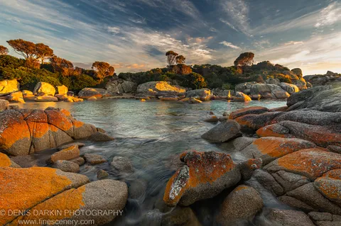 Shallow stream flows through a rocky channel lined with moss-covered boulders at Bay of Fires on a clear autumn morning.