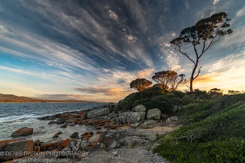 A grassy coastal headland with windswept trees stands above granite boulders and lichen-stained rocks under a sky of streaking clouds.