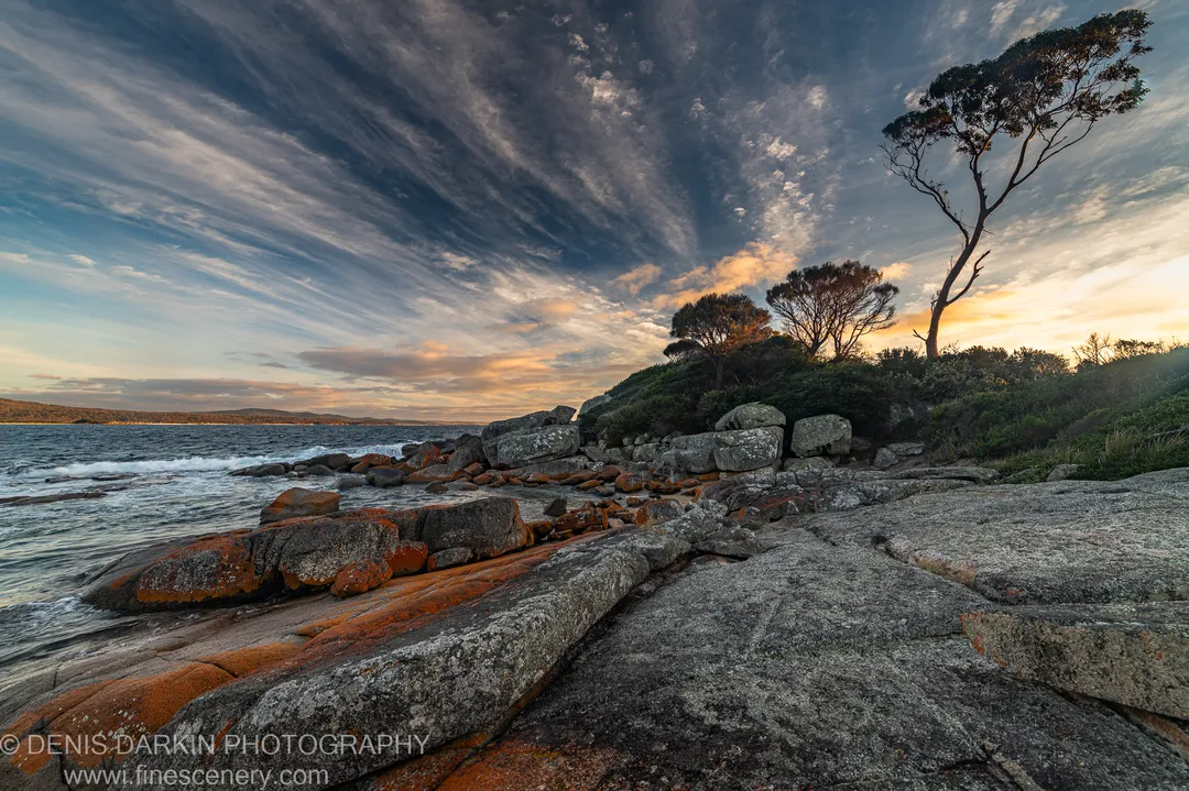 Rust-lichened granite boulders line a calm shoreline at Bay of Fires, with silhouetted coastal trees backlit by morning sun breaking through cloud.
