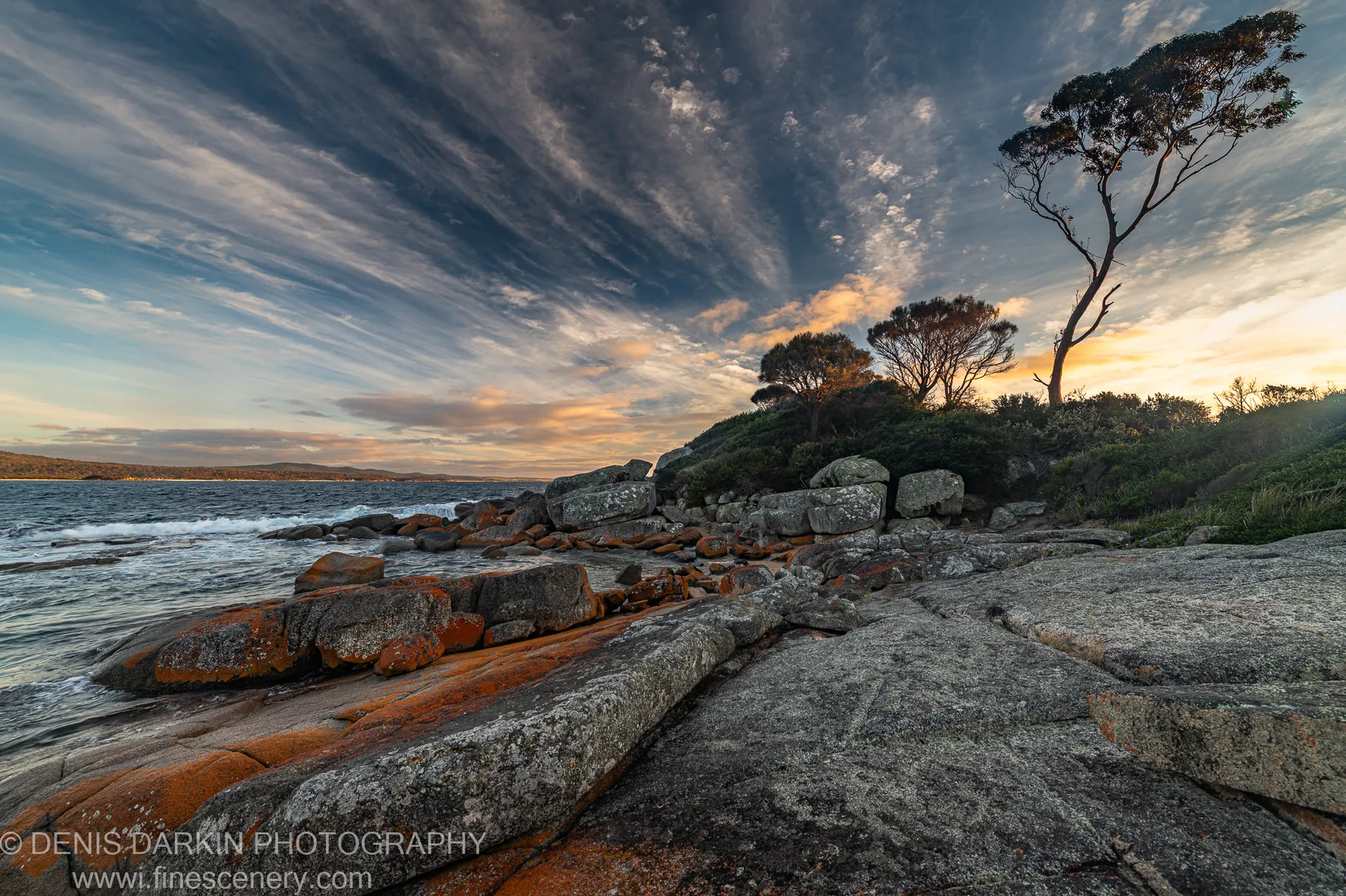 Rust-lichened granite boulders line a calm shoreline at Bay of Fires, with silhouetted coastal trees backlit by morning sun breaking through cloud.