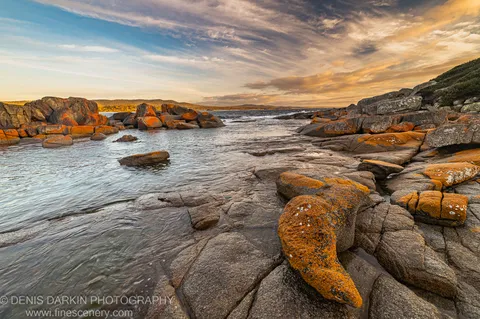 Orange lichen-covered granite boulders border calm steel-blue water at Bay of Fires, with a distant headland visible under a streaked morning sky.