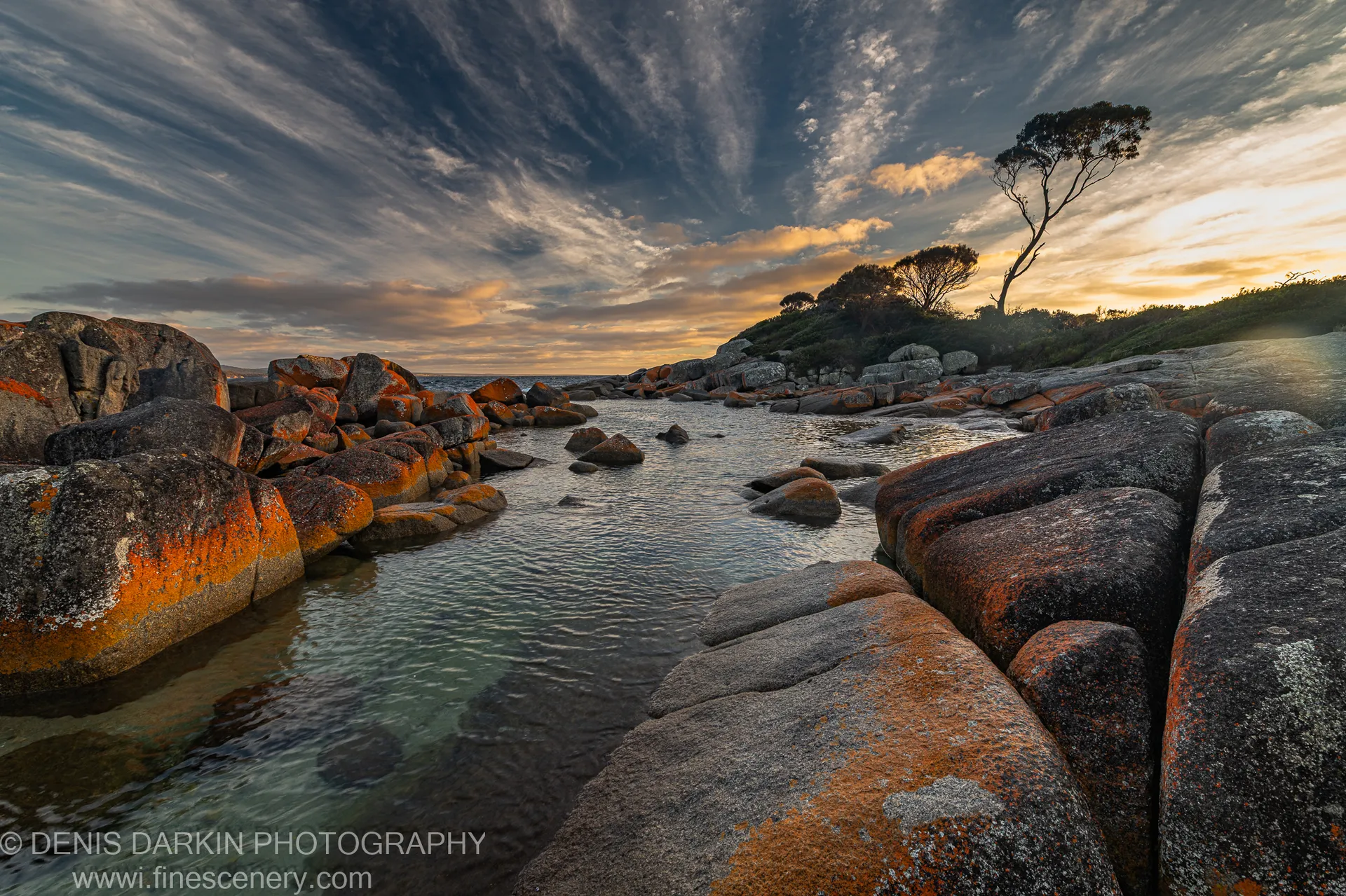 A solitary tree leans over a glassy tidal waterway edged with orange lichen boulders on the East Coast of Tasmania.