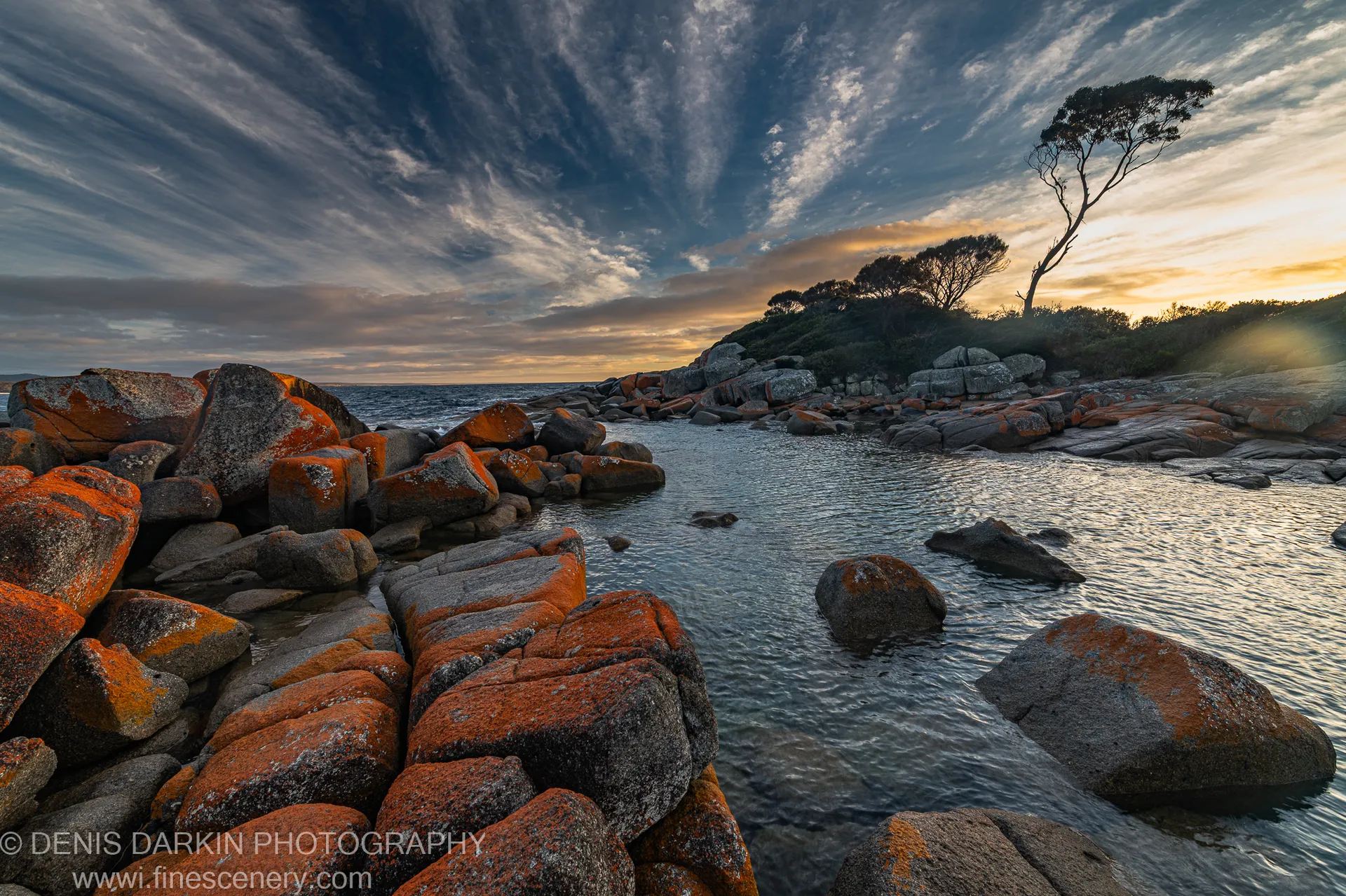 Orange lichen boulders fill the foreground of a coastal inlet, with a lone tree silhouetted on the distant headland against streaking clouds.