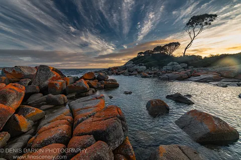 Orange lichen boulders fill the foreground of a coastal inlet, with a lone tree silhouetted on the distant headland against streaking clouds.