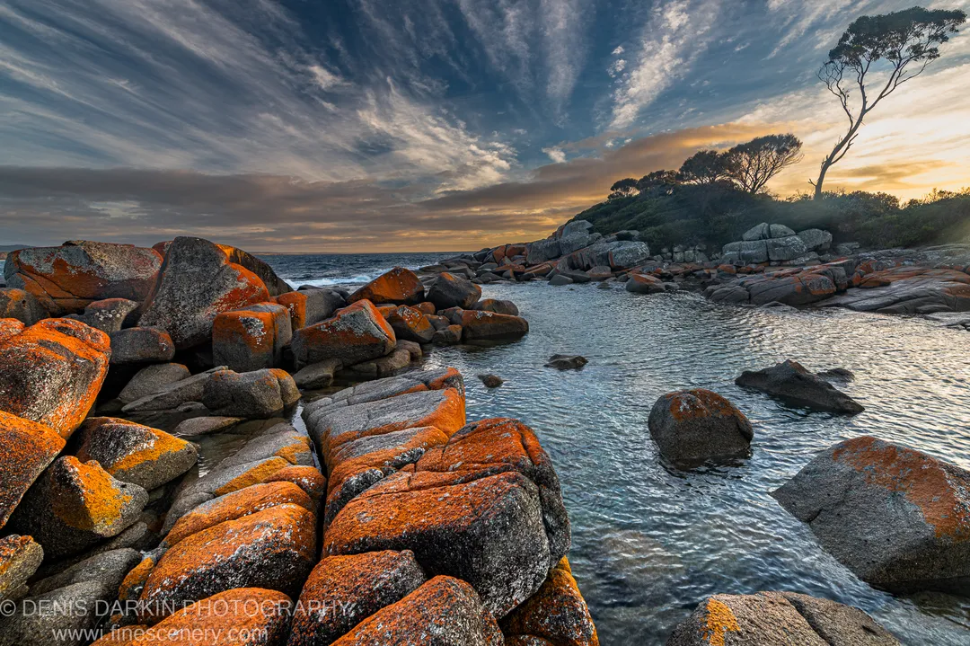 Orange lichen-covered granite boulders line a calm tidal inlet at Bay of Fires, with a tree silhouetted on the distant ridge under streaked clouds.