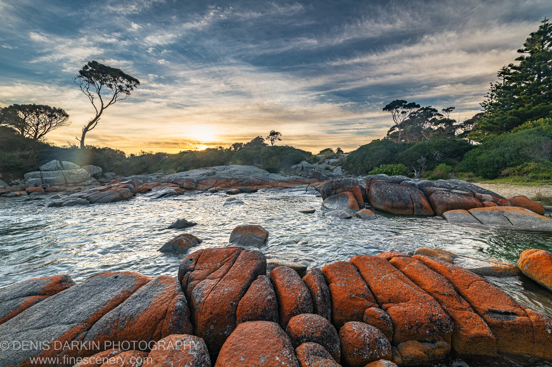 Lichen-covered boulders and a windswept tree at a tidal river mouth, Bay of Fires, Tasmania, in early morning light.