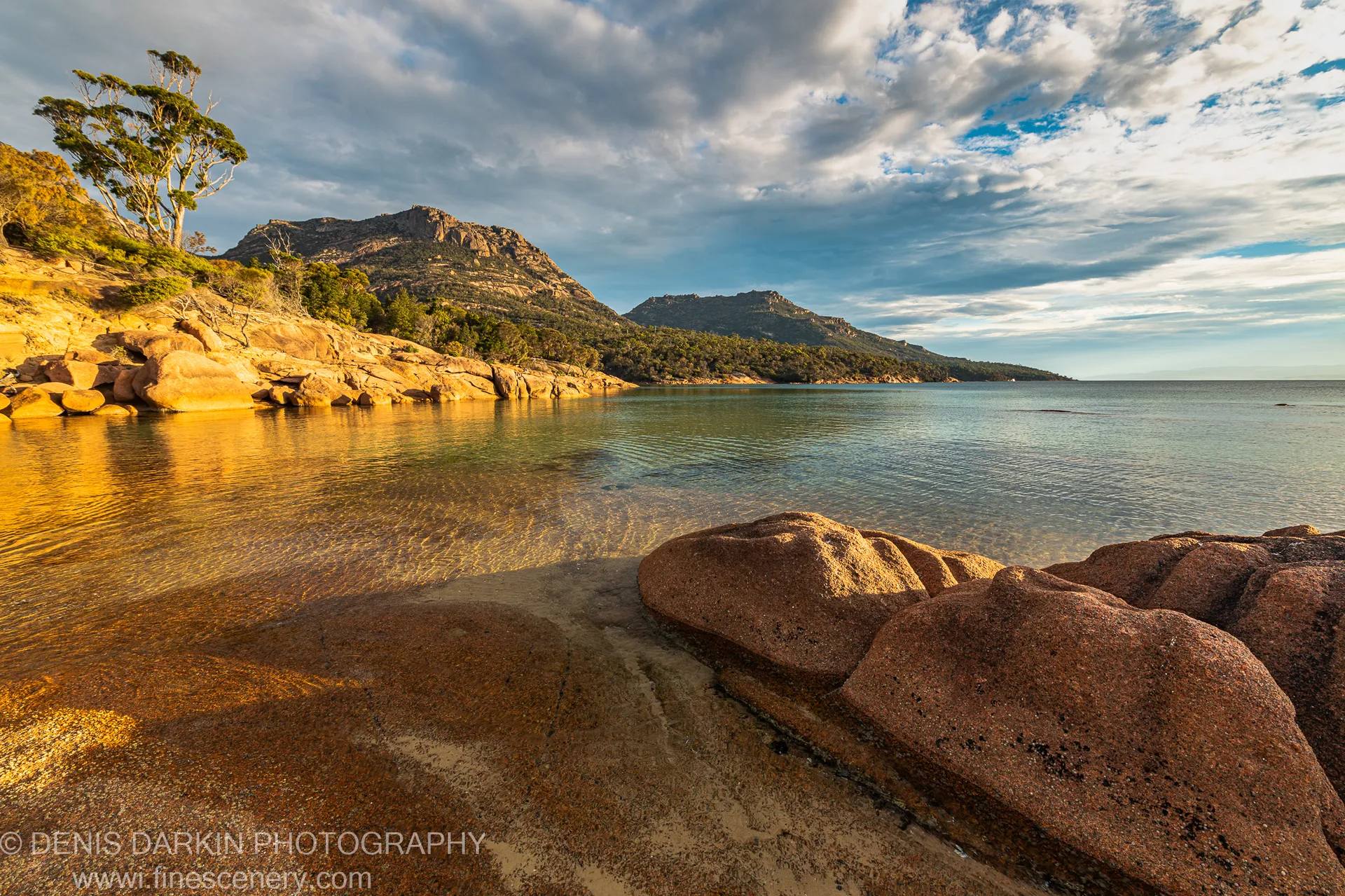 Smooth granite boulders in warm light beside shallow water at Coles Bay, a solitary tree and mountain range under cloud behind, April 2022.