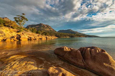 Rounded granite boulders at golden hour on the Coles Bay shore, with a solitary tree on the rocky headland and calm water beyond.