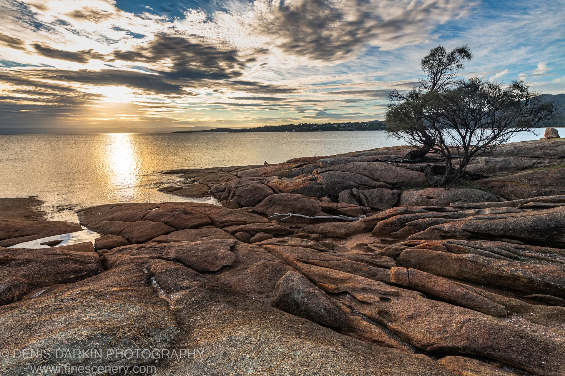 Smooth granite slabs extending to a calm bay in Tasmania, with golden light on the water and a solitary windswept tree against the sky.