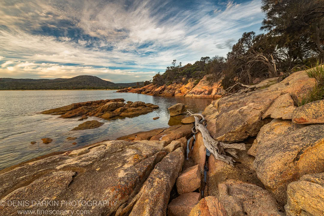 Weathered driftwood rests in a crevice between granite boulders at Coles Bay, Tasmania, with still water and a forested headland beyond.