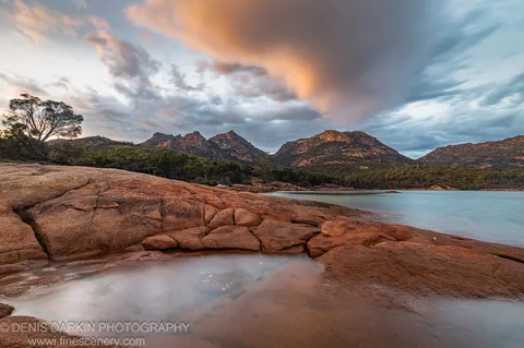 A lone tree grows among wet rock formations at Coles Bay, Tasmania, with distant mountain peaks under a cloud-streaked sky.