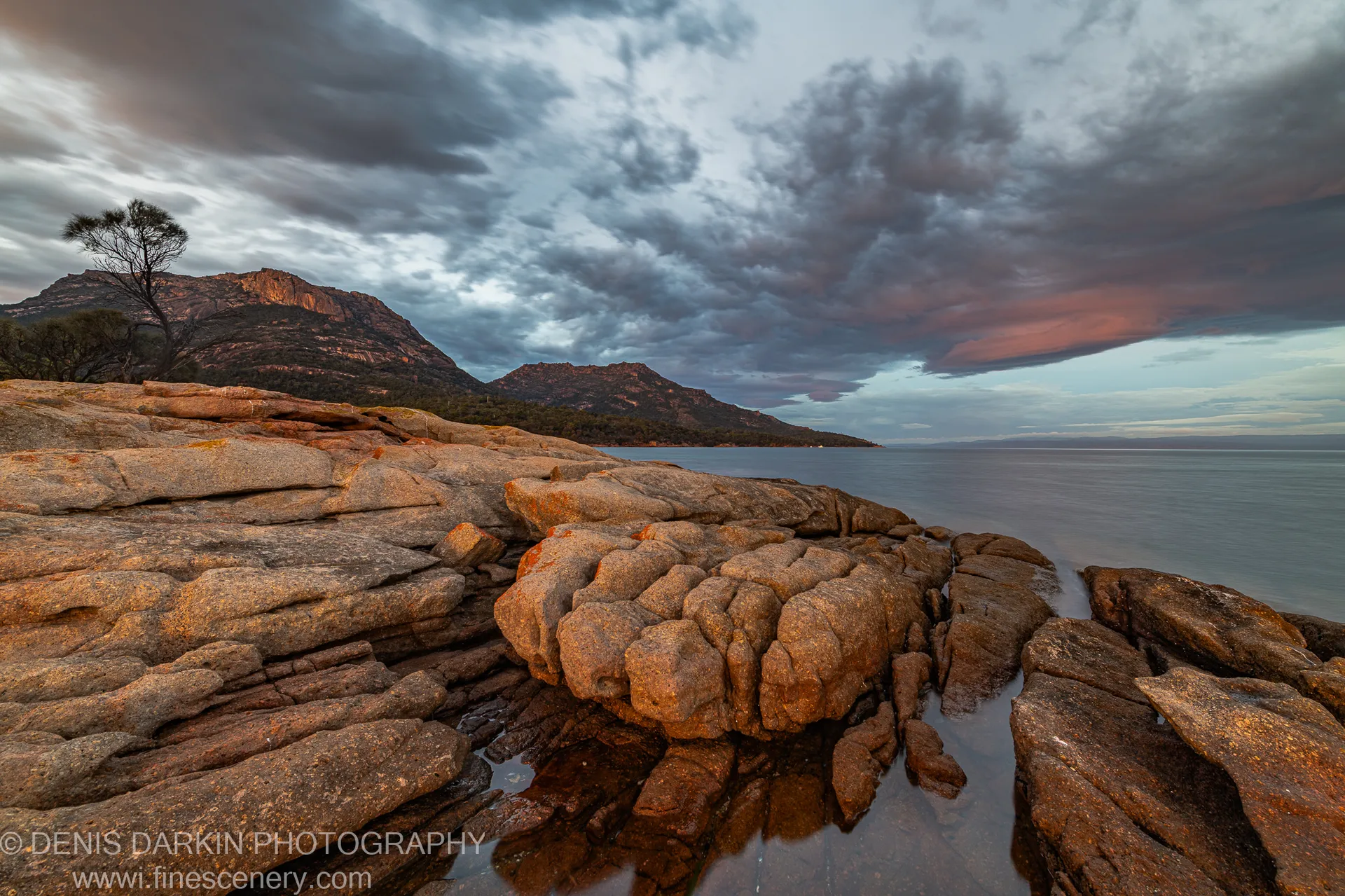 Silhouetted eucalyptus against the Hazards at Coles Bay, Tasmania, with a lenticular cloud above in early morning light.