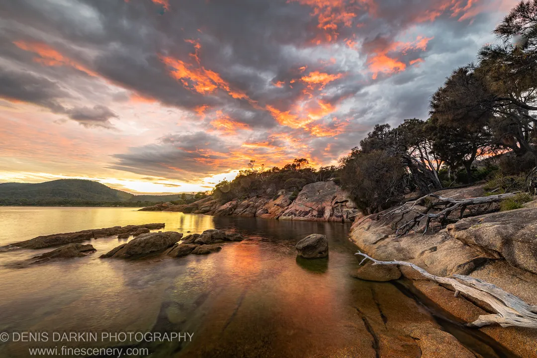 Weathered driftwood rests among granite boulders on the shore at Coles Bay, Tasmania, with calm water catching the morning light.
